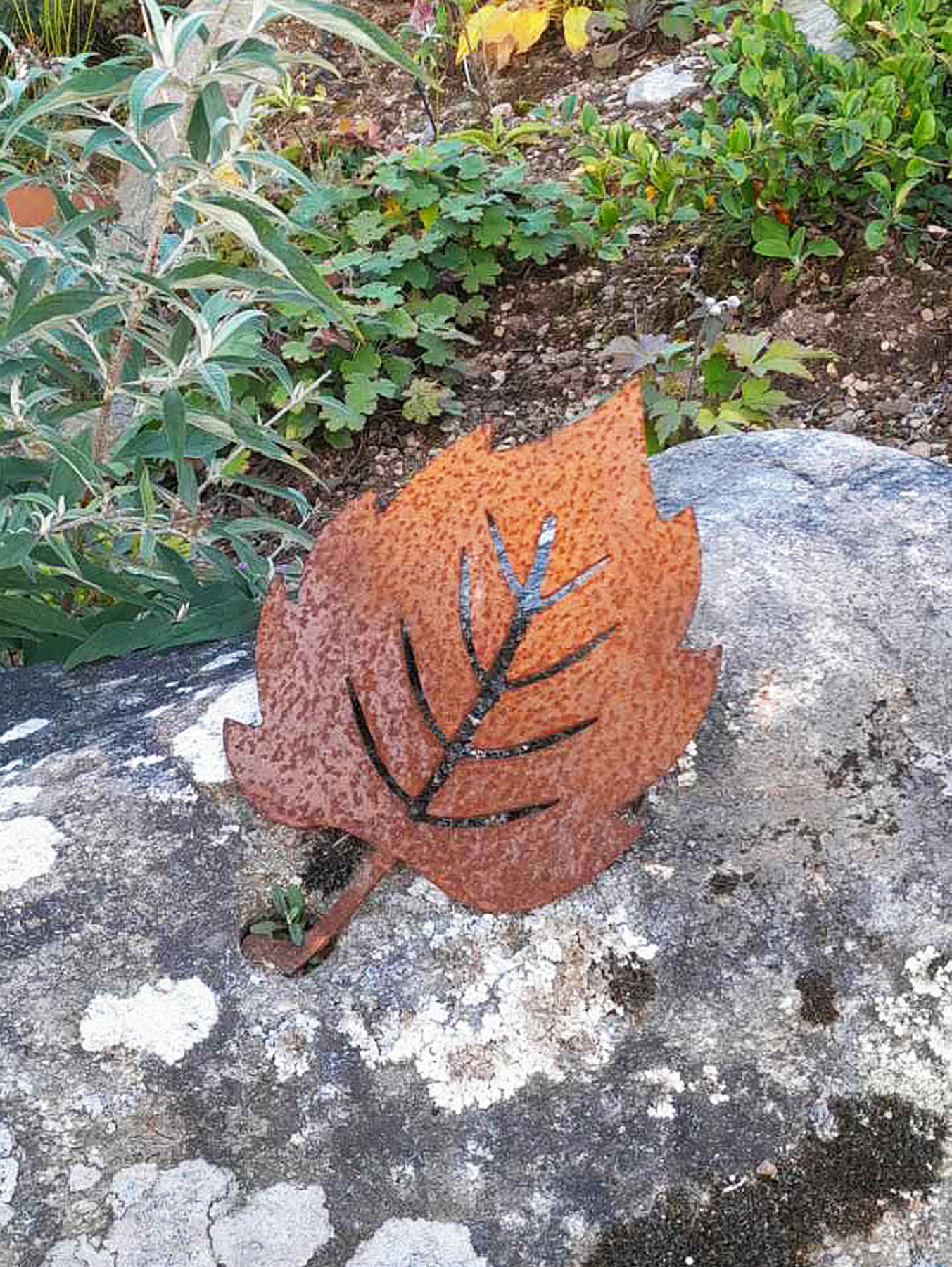 Löv